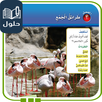 حلول الوحدة الثانية طرائق الجمع رياضيات ثاني ف1
