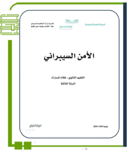 الأمن السيبراني